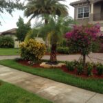 landscape service done in boca raton and coral springs fl surrounds