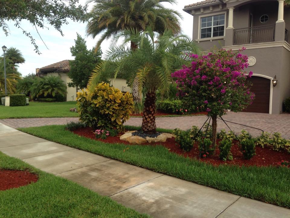 landscape service done in boca raton and coral springs fl surrounds